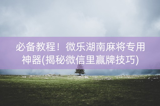 必备教程！微乐湖南麻将专用神器(揭秘微信里赢牌技巧)
