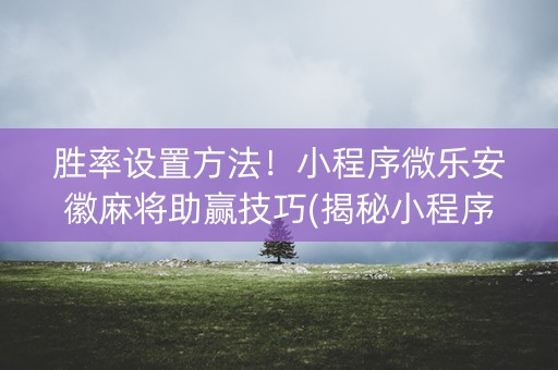 胜率设置方法！小程序微乐安徽麻将助赢技巧(揭秘小程序自建房怎么赢)