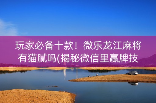 玩家必备十款！微乐龙江麻将有猫腻吗(揭秘微信里赢牌技巧)