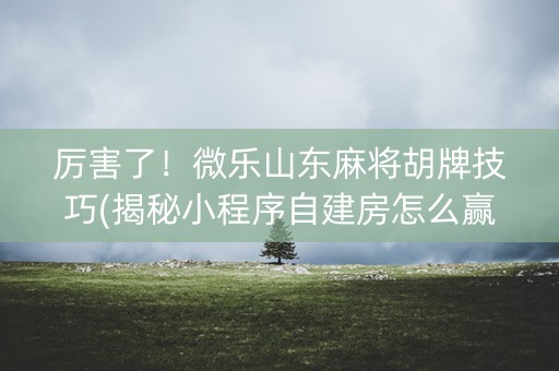 厉害了！微乐山东麻将胡牌技巧(揭秘小程序自建房怎么赢)