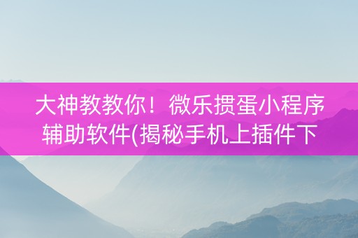 大神教教你！微乐掼蛋小程序辅助软件(揭秘手机上插件下载)