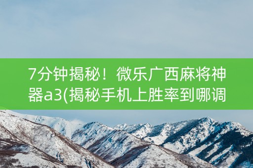 7分钟揭秘！微乐广西麻将神器a3(揭秘手机上胜率到哪调)