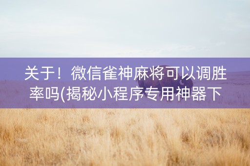 关于！微信雀神麻将可以调胜率吗(揭秘小程序专用神器下载)