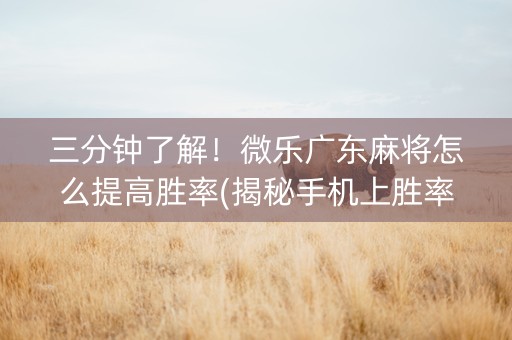 三分钟了解！微乐广东麻将怎么提高胜率(揭秘手机上胜率到哪调)