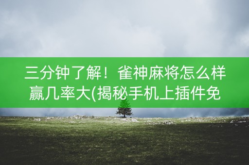 三分钟了解！雀神麻将怎么样赢几率大(揭秘手机上插件免费)