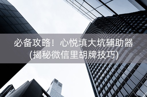 必备攻略！心悦填大坑辅助器(揭秘微信里胡牌技巧)