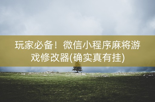 玩家必备！微信小程序麻将游戏修改器(确实真有挂)