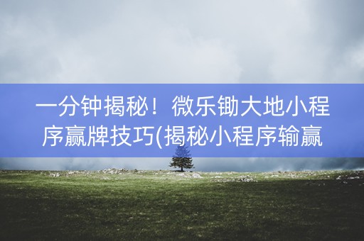 一分钟揭秘！微乐锄大地小程序赢牌技巧(揭秘小程序输赢规律)