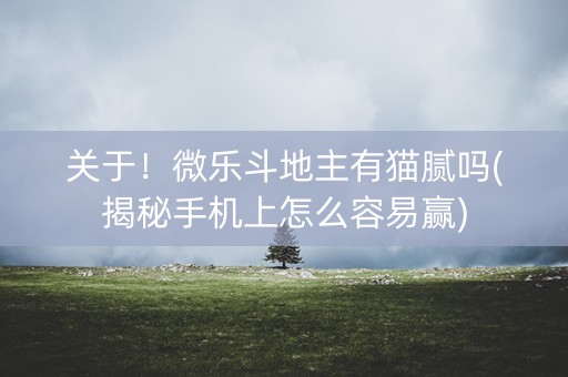 关于！微乐斗地主有猫腻吗(揭秘手机上怎么容易赢)