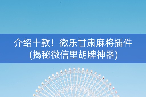 介绍十款！微乐甘肃麻将插件(揭秘微信里胡牌神器)