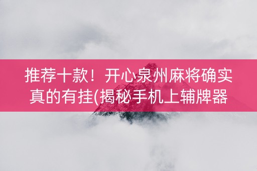推荐十款！开心泉州麻将确实真的有挂(揭秘手机上辅牌器)