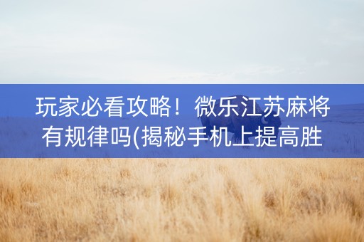 玩家必看攻略！微乐江苏麻将有规律吗(揭秘手机上提高胜率)
