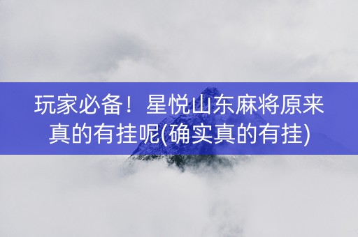 玩家必备！星悦山东麻将原来真的有挂呢(确实真的有挂)