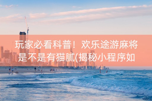 玩家必看科普！欢乐途游麻将是不是有猫腻(揭秘小程序如何让牌变好)