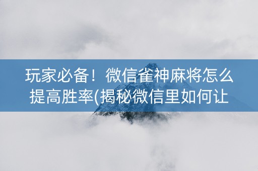 玩家必备！微信雀神麻将怎么提高胜率(揭秘微信里如何让牌变好)