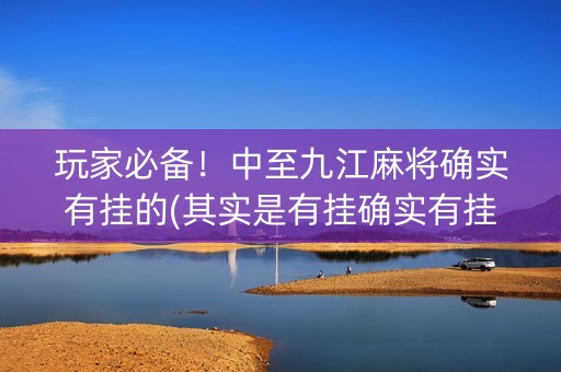 玩家必备！中至九江麻将确实有挂的(其实是有挂确实有挂)