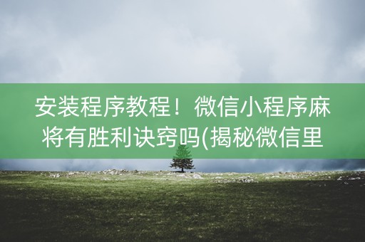 安装程序教程！微信小程序麻将有胜利诀窍吗(揭秘微信里专用神器)