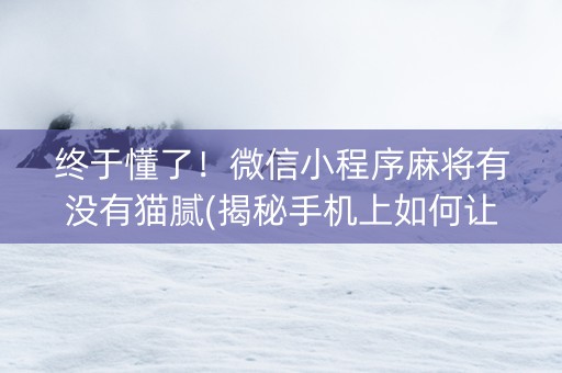 终于懂了！微信小程序麻将有没有猫腻(揭秘手机上如何让牌变好)