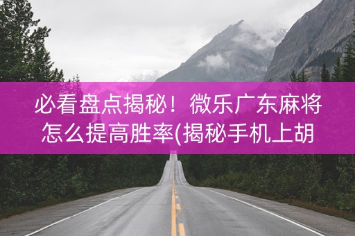 必看盘点揭秘！微乐广东麻将怎么提高胜率(揭秘手机上胡牌神器)