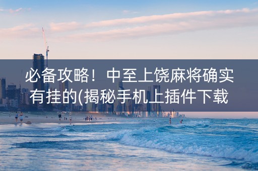 必备攻略！中至上饶麻将确实有挂的(揭秘手机上插件下载)