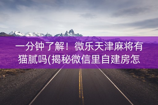 一分钟了解！微乐天津麻将有猫腻吗(揭秘微信里自建房怎么赢)