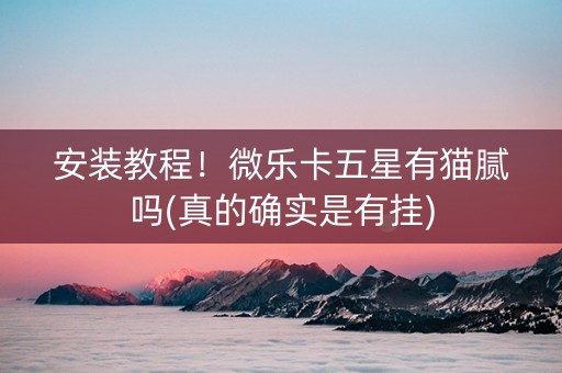 安装教程！微乐卡五星有猫腻吗(真的确实是有挂)