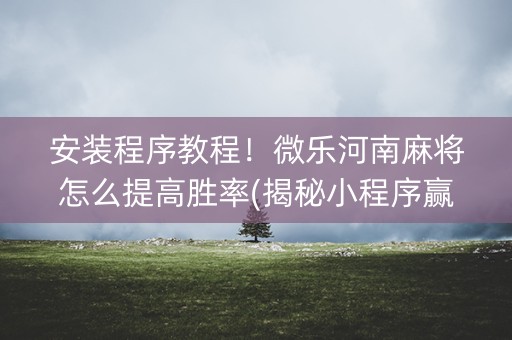 安装程序教程！微乐河南麻将怎么提高胜率(揭秘小程序赢的诀窍)