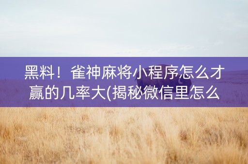 黑料！雀神麻将小程序怎么才赢的几率大(揭秘微信里怎么容易赢)