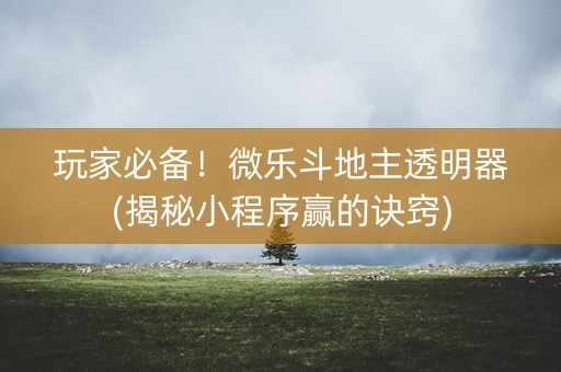 玩家必备！微乐斗地主透明器(揭秘小程序赢的诀窍)