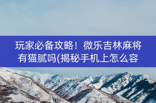 玩家必备攻略！微乐吉林麻将有猫腻吗(揭秘手机上怎么容易赢)