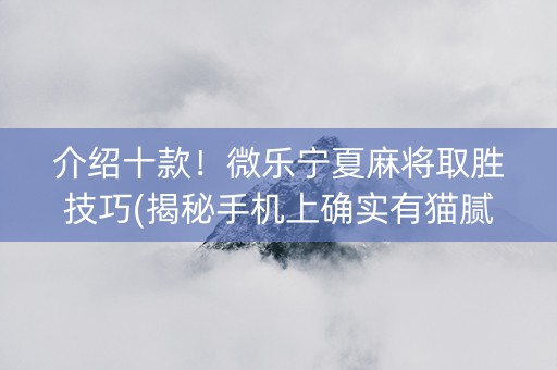 介绍十款！微乐宁夏麻将取胜技巧(揭秘手机上确实有猫腻)