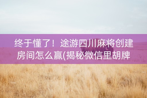 终于懂了！途游四川麻将创建房间怎么赢(揭秘微信里胡牌神器)