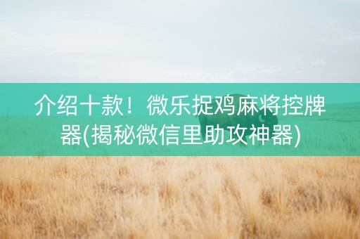 介绍十款！微乐捉鸡麻将控牌器(揭秘微信里助攻神器)