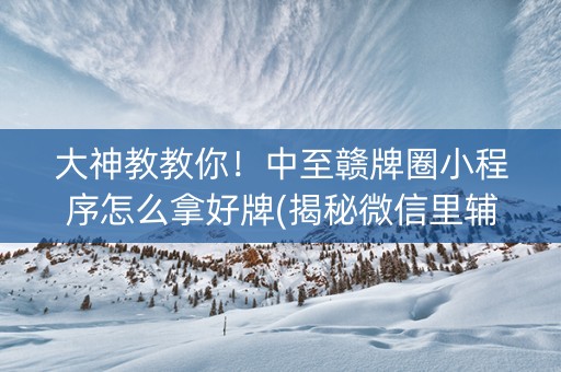 大神教教你！中至赣牌圈小程序怎么拿好牌(揭秘微信里辅牌器)