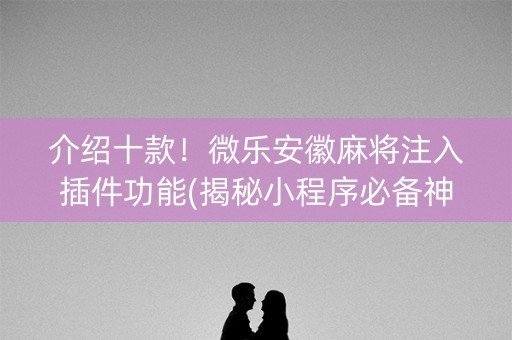 介绍十款！微乐安徽麻将注入插件功能(揭秘小程序必备神器)