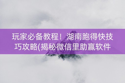 玩家必备教程！湖南跑得快技巧攻略(揭秘微信里助赢软件)
