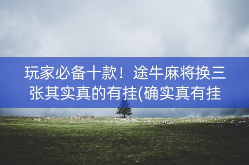 玩家必备十款！途牛麻将换三张其实真的有挂(确实真有挂)