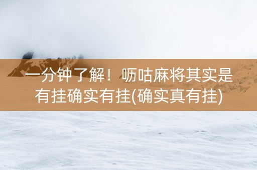 一分钟了解！呖咕麻将其实是有挂确实有挂(确实真有挂)