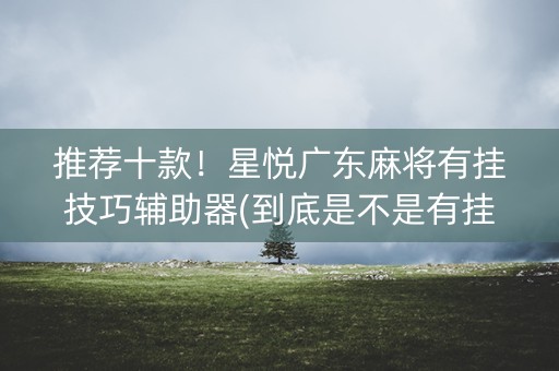 推荐十款！星悦广东麻将有挂技巧辅助器(到底是不是有挂)