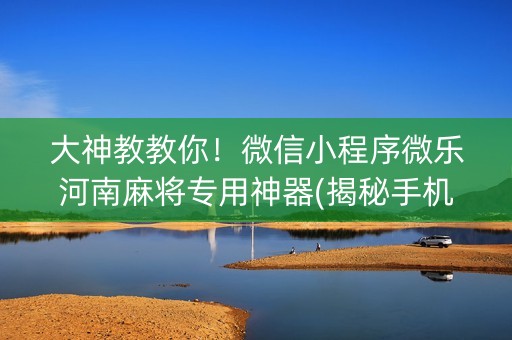 大神教教你！微信小程序微乐河南麻将专用神器(揭秘手机上提高赢的概率)