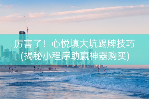 厉害了！心悦填大坑踢牌技巧(揭秘小程序助赢神器购买)