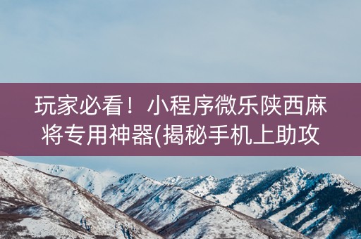 玩家必看！小程序微乐陕西麻将专用神器(揭秘手机上助攻神器)