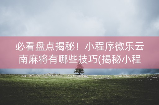 必看盘点揭秘！小程序微乐云南麻将有哪些技巧(揭秘小程序插件下载)