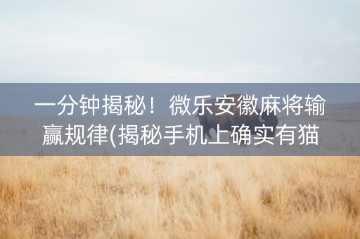 一分钟揭秘！微乐安徽麻将输赢规律(揭秘手机上确实有猫腻)