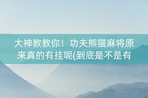 大神教教你！功夫熊猫麻将原来真的有挂呢(到底是不是有挂)