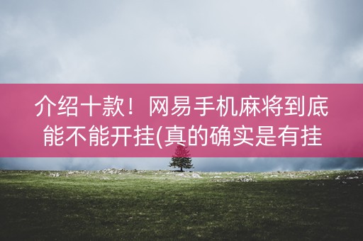 介绍十款！网易手机麻将到底能不能开挂(真的确实是有挂)
