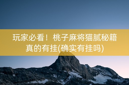 玩家必看！桃子麻将猫腻秘籍真的有挂(确实有挂吗)