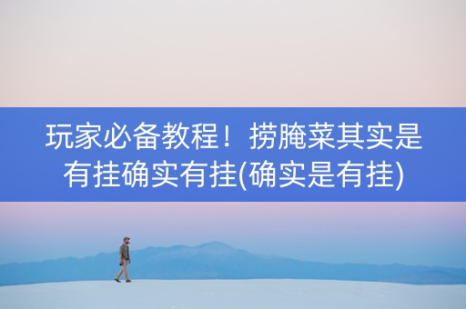 玩家必备教程！捞腌菜其实是有挂确实有挂(确实是有挂)