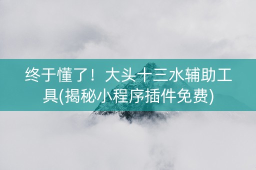 终于懂了！大头十三水辅助工具(揭秘小程序插件免费)