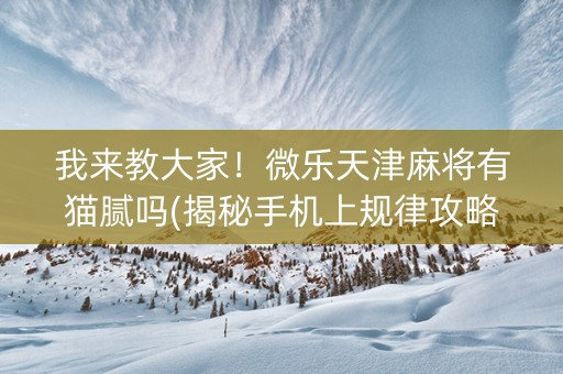 我来教大家！微乐天津麻将有猫腻吗(揭秘手机上规律攻略)